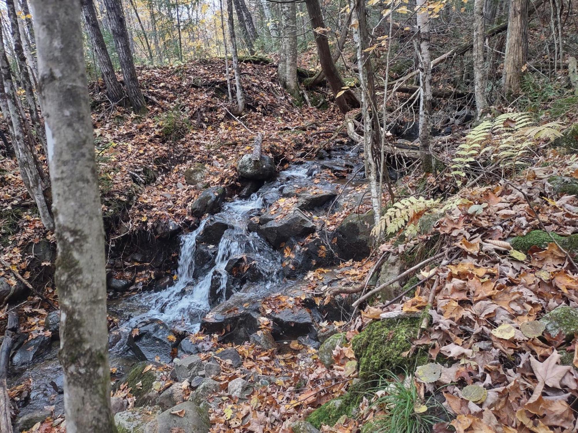 Saint Roch de Mekinac Hebergement De La Montagne St-Roch מראה חיצוני תמונה