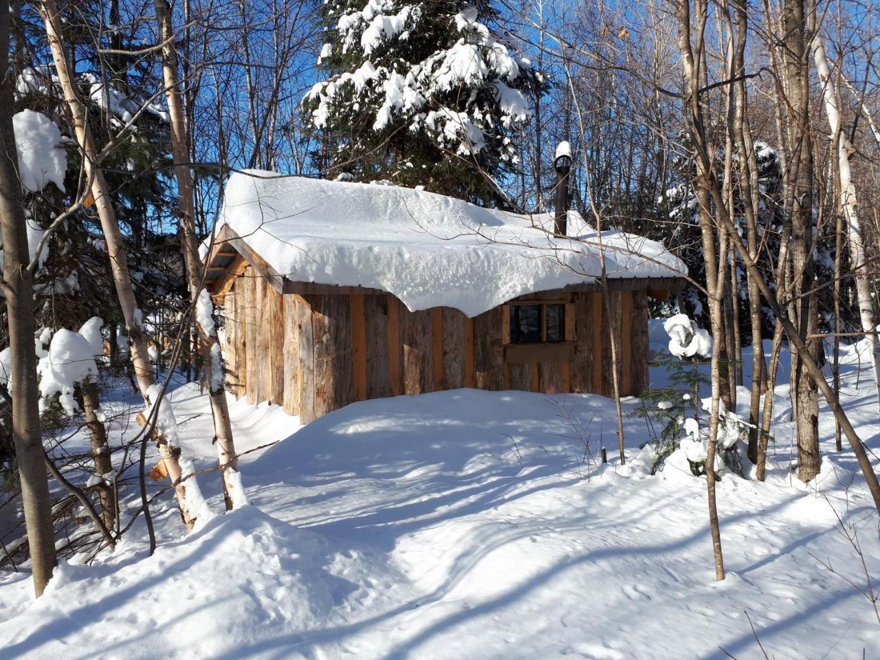 Saint Roch de Mekinac Hebergement De La Montagne St-Roch מראה חיצוני תמונה